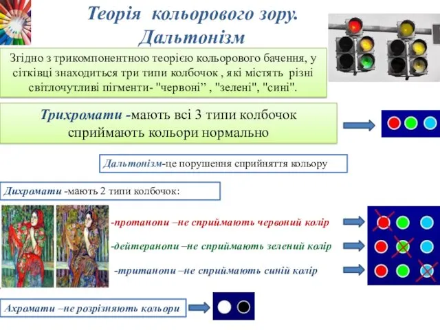 Теорія кольорового зору. Дальтонізм Трихромати -мають всі 3 типи колбочок сприймають кольори нормально