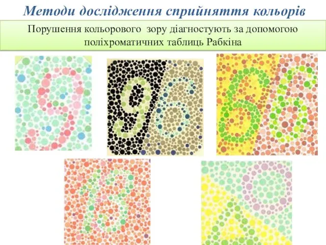 Методи дослідження сприйняття кольорів Порушення кольорового зору діагностують за допомогою поліхроматичних таблиць Рабкіна