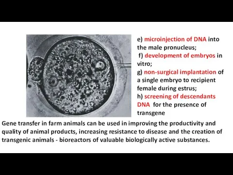 e) microinjection of DNA into the male pronucleus; f) development