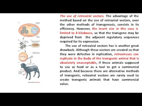 The use of retroviral vectors. The advantage of the method