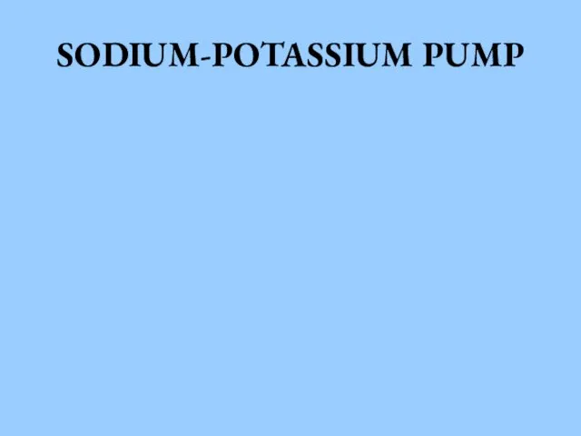 SODIUM-POTASSIUM PUMP