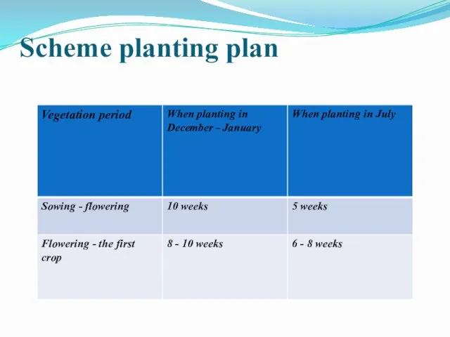 Scheme planting plan