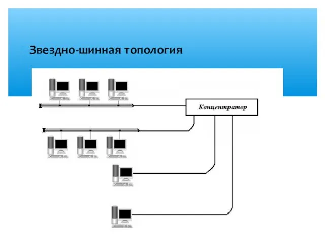 Звездно-шинная топология