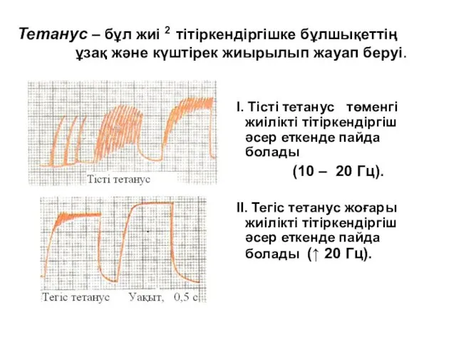 Тетанус – бұл жиі 2 тітіркендіргішке бұлшықеттің ұзақ және күштірек