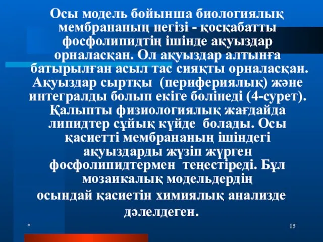 * Осы модель бойынша биологиялық мембрананың негізі - қосқабатты фосфолипидтің