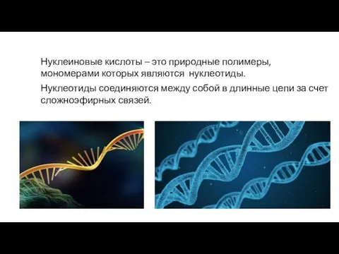 Нуклеиновые кислоты – это природные полимеры, мономерами которых являются нуклеотиды. Нуклеотиды соединяются между