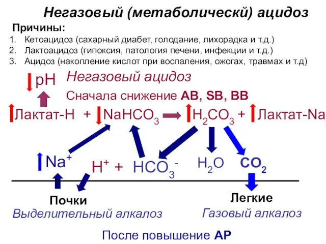 Негазовый (метаболическй) ацидоз Причины: Н2О СО2 Н2СО3 + Лактат-Na рН