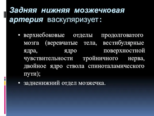 Задняя нижняя мозжечковая артерия васкуляризует: • верхнебоковые отделы продолговатого мозга