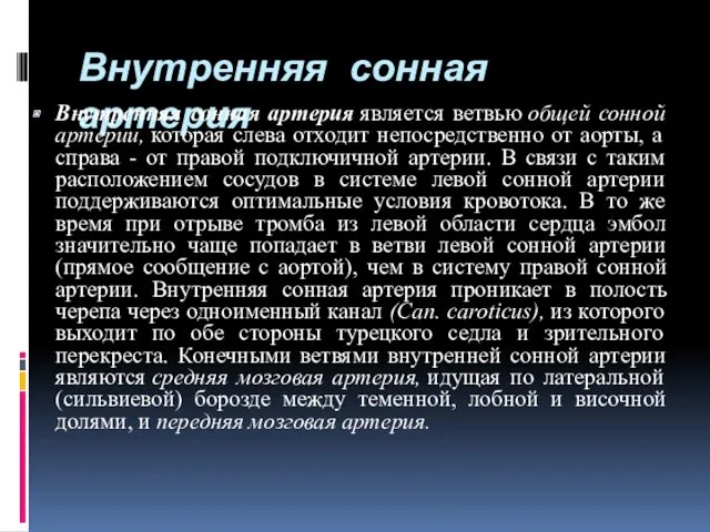 Внутренняя сонная артерия Внутренняя сонная артерия является ветвью общей сонной