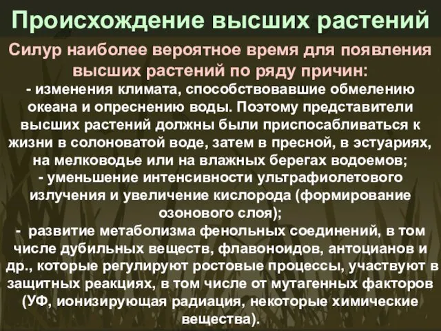 Силур наиболее вероятное время для появления высших растений по ряду