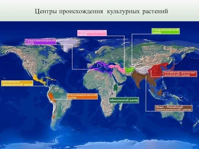 Центры происхождения культурных растений