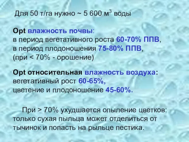 Opt относительная влажность воздуха: вегетативный рост 60-65%, цветение и плодоношение