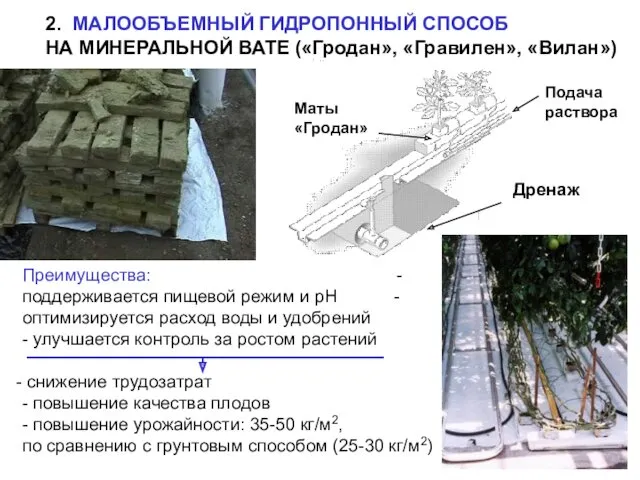 2. МАЛООБЪЕМНЫЙ ГИДРОПОННЫЙ СПОСОБ НА МИНЕРАЛЬНОЙ ВАТЕ («Гродан», «Гравилен», «Вилан»)