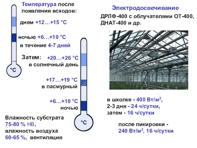 Температура после появления всходов: °С днем +12…+15 °С ночью +6…+10