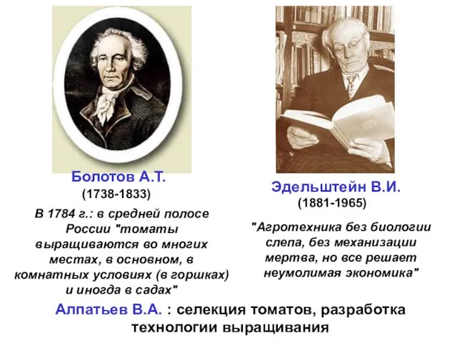 Алпатьев В.А. : селекция томатов, разработка технологии выращивания Болотов А.Т.