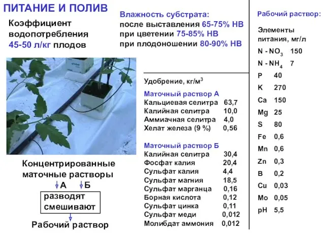 ПИТАНИЕ И ПОЛИВ Концентрированные маточные растворы Рабочий раствор разводят смешивают