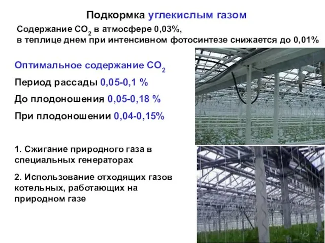 Содержание СО2 в атмосфере 0,03%, в теплице днем при интенсивном