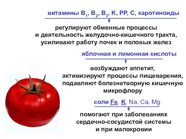 витамины B1, B2, B3, K, PP, С, каротиноиды соли Fe,