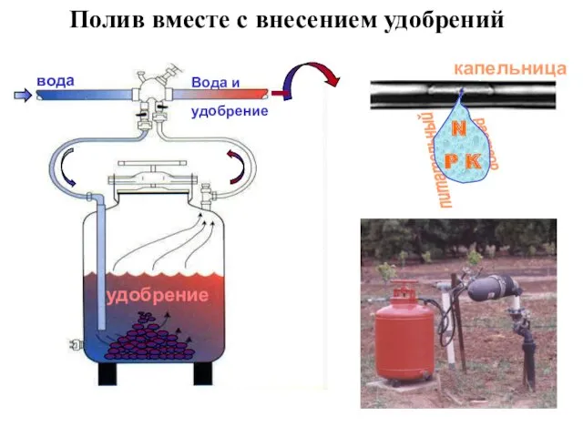 капельница питательный раствор N P K Полив вместе с внесением удобрений