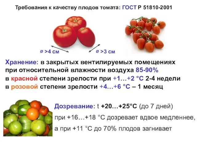∅ >4 см Требования к качеству плодов томата: ГОСТ Р