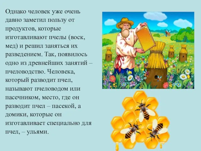 Однако человек уже очень давно заметил пользу от продуктов, которые