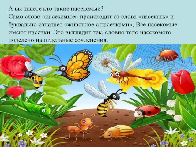 А вы знаете кто такие насекомые? Само слово «насекомые» происходит