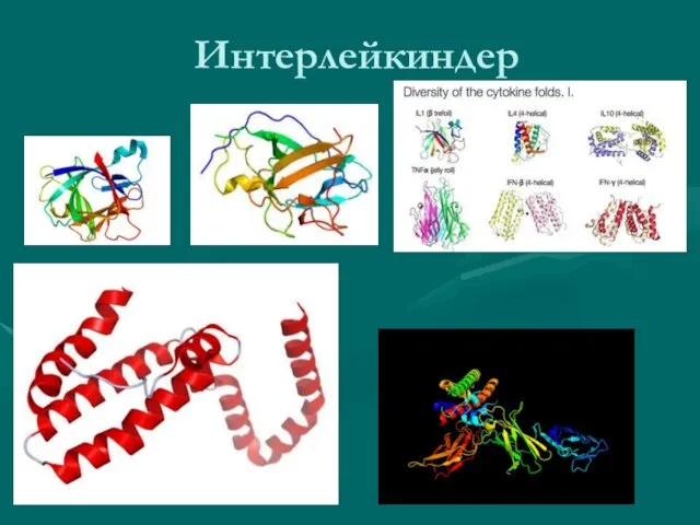 Интерлейкиндер