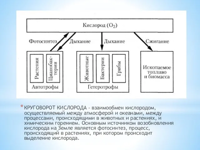 КРУГОВОРОТ КИСЛОРОДА - взаимообмен кислородом, осуществляемый между атмосферой и океанами,