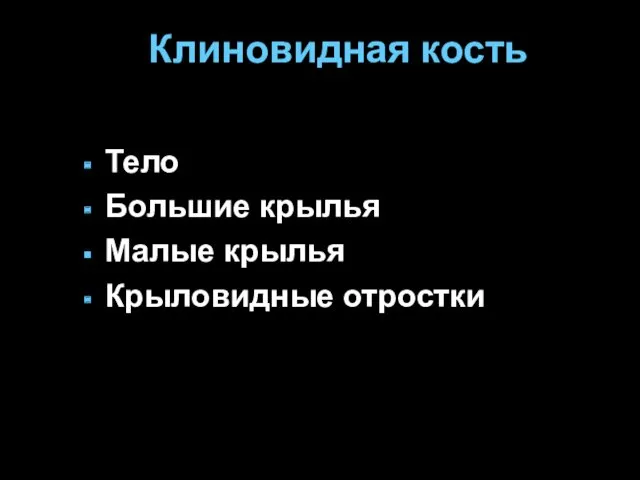 Клиновидная кость Тело Большие крылья Малые крылья Крыловидные отростки