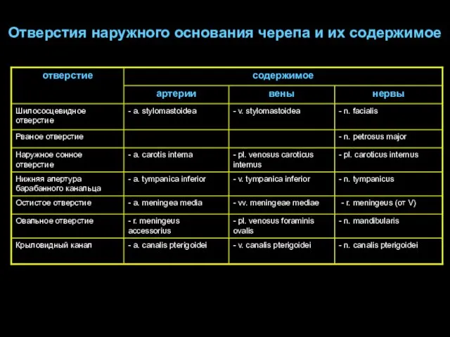 Отверстия наружного основания черепа и их содержимое