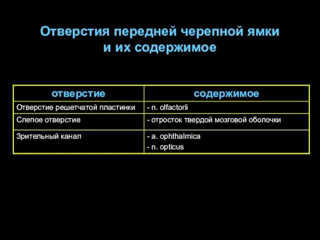 Отверстия передней черепной ямки и их содержимое