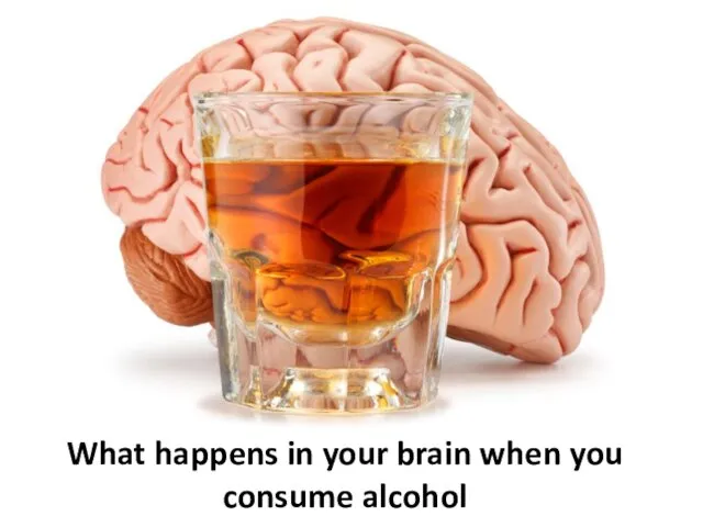 What happens in your brain when you consume alcohol