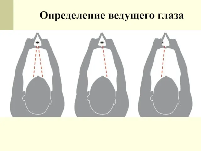 Определение ведущего глаза