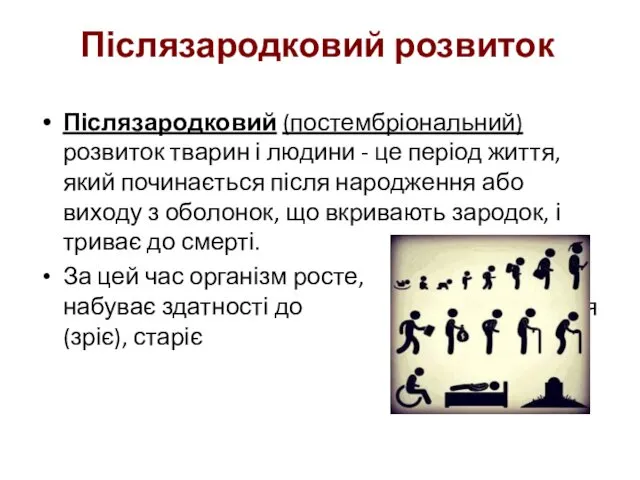 Післязародковий (постембріональний) розвиток тварин і людини - це період життя,