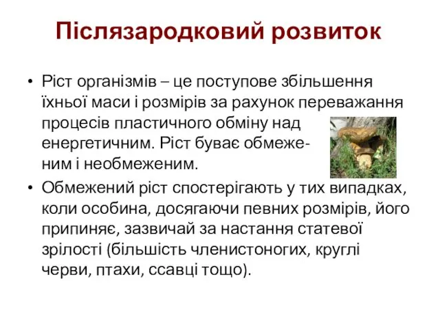 Післязародковий розвиток Ріст організмів – це поступове збільшення їхньої маси