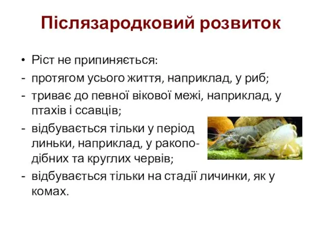 Ріст не припиняється: протягом усього життя, наприклад, у риб; триває