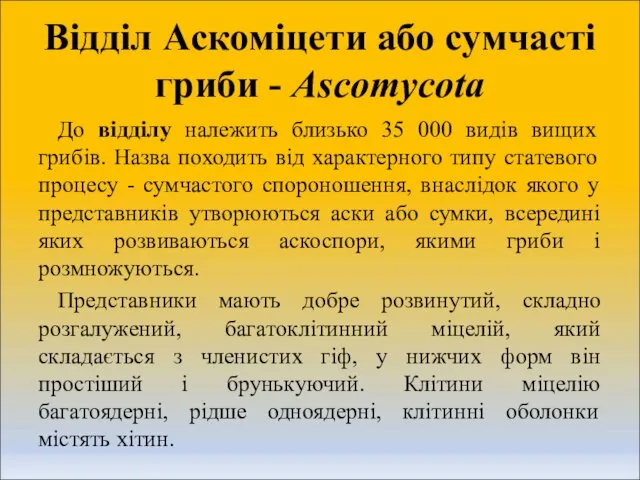 Відділ Аскоміцети або сумчасті гриби - Ascomycоtа До відділу належить