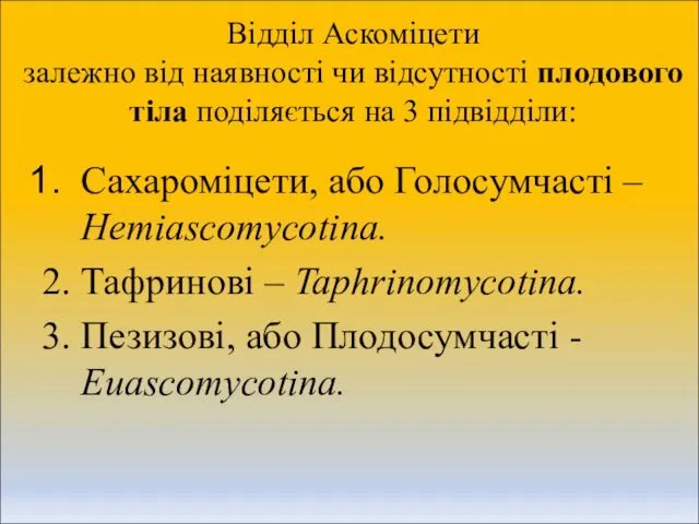 Відділ Аскоміцети залежно від наявності чи відсутності плодового тіла поділяється