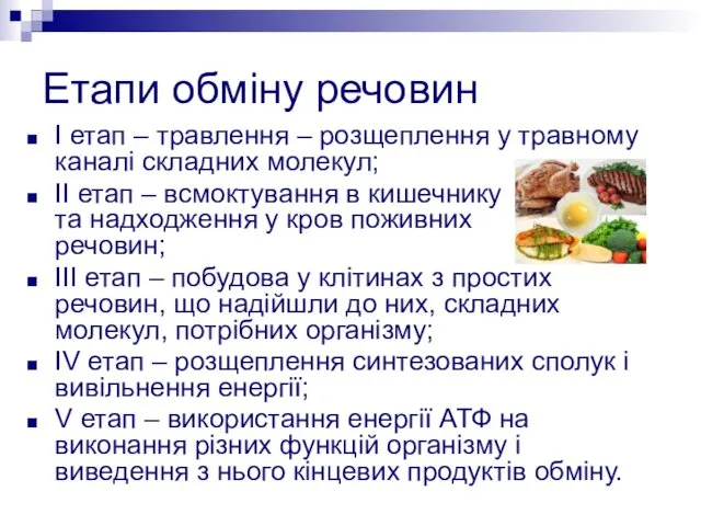 І етап – травлення – розщеплення у травному каналі складних молекул; ІІ етап