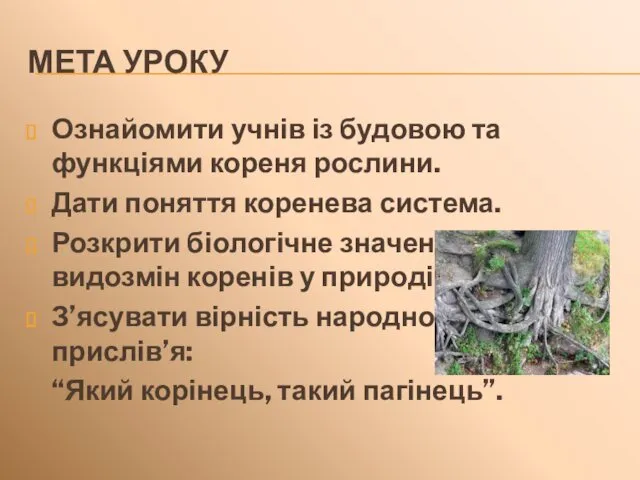 МЕТА УРОКУ Ознайомити учнів із будовою та функціями кореня рослини.