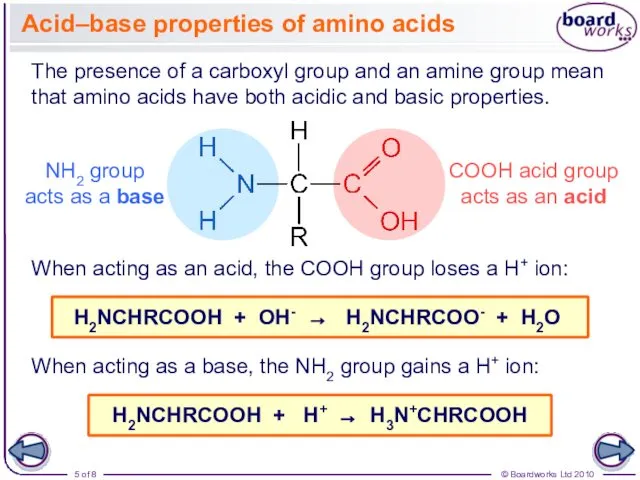 Acid–base properties of amino acids The presence of a carboxyl group and an