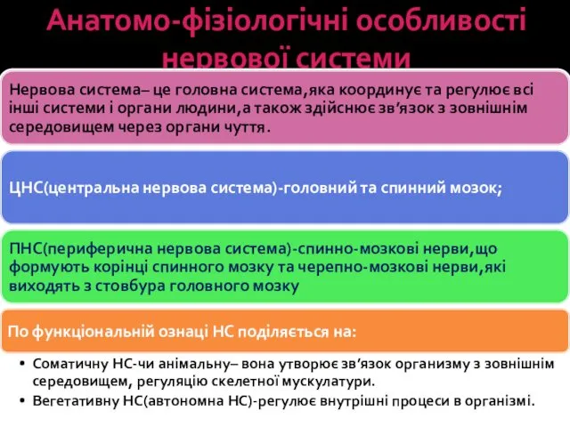 Анатомо-фізіологічні особливості нервової системи