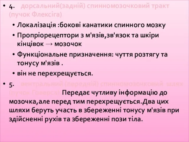 4. дорсальний(задній) спинномозочковий тракт (пучок Флексіга) Локалізація :бокові канатики спинного