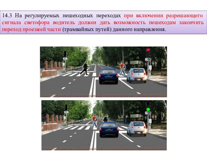 14.3 На регулируемых пешеходных переходах при включении разрешающего сигнала светофора