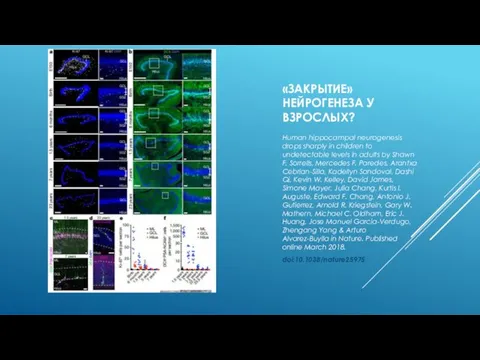 «ЗАКРЫТИЕ» НЕЙРОГЕНЕЗА У ВЗРОСЛЫХ? Human hippocampal neurogenesis drops sharply in