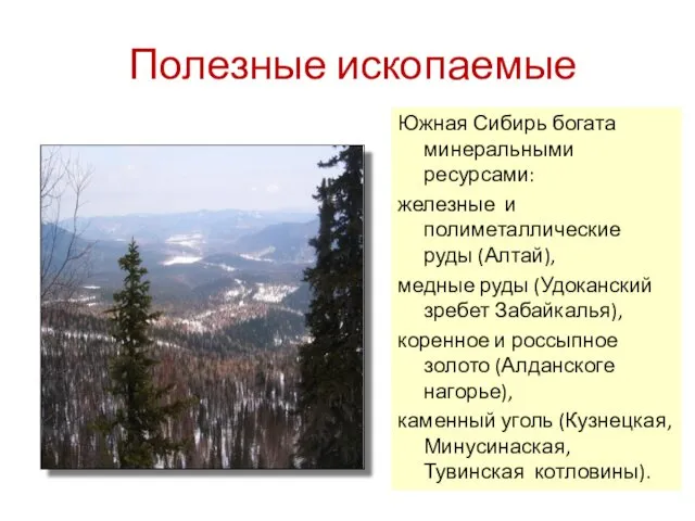 Полезные ископаемые Южная Сибирь богата минеральными ресурсами: железные и полиметаллические руды (Алтай), медные