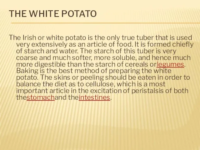 THE WHITE POTATO The Irish or white potato is the