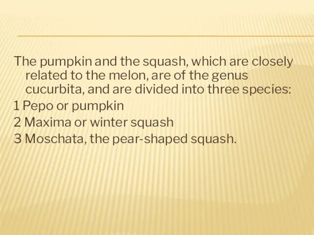 The pumpkin and the squash, which are closely related to the melon, are