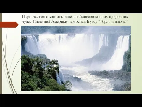 Парк частково містить одне з найдивовижніших природних чудес Південної Америки- водоспад Іґуасу “Горло диявола”