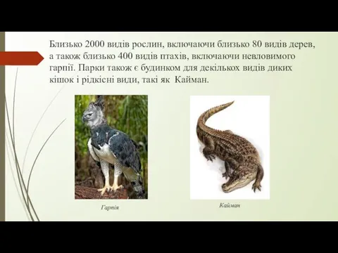 Близько 2000 видів рослин, включаючи близько 80 видів дерев, а